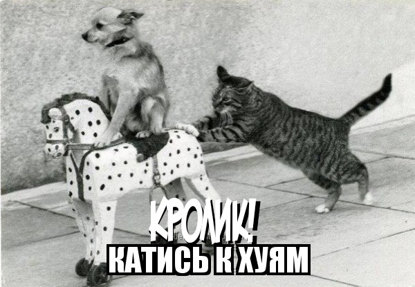 Макаревич опять отжог