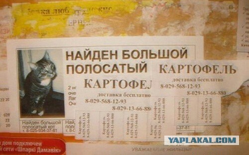 Только у нас