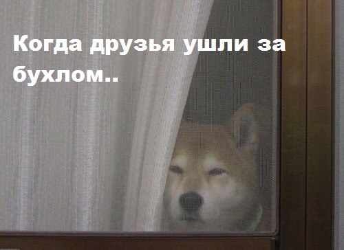 Мемы вспоминаем и добавляем....
