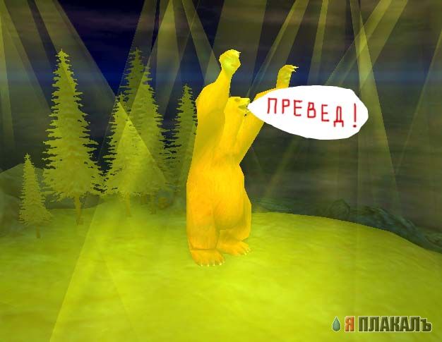 Превед медвед!