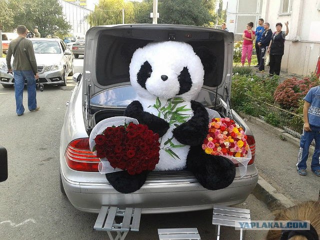 Жизнь Даши Поповой в обмен на Свободу похителей