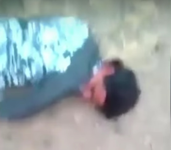 Очередной кандидат на премию Дарвина