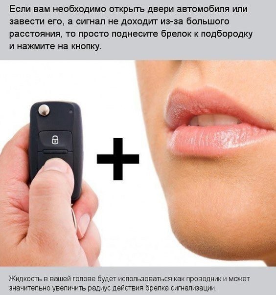 Подборка интересных и веселых картинок