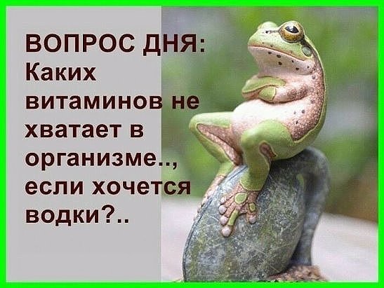 Меня засосала Опасная трясина, И жизнь моя — вечная игра.(с)