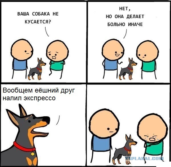 Заставь граммар наци страдать