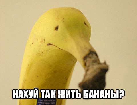 22 секрета человеческого тела