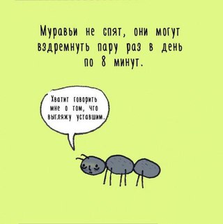 30 личных наблюдений