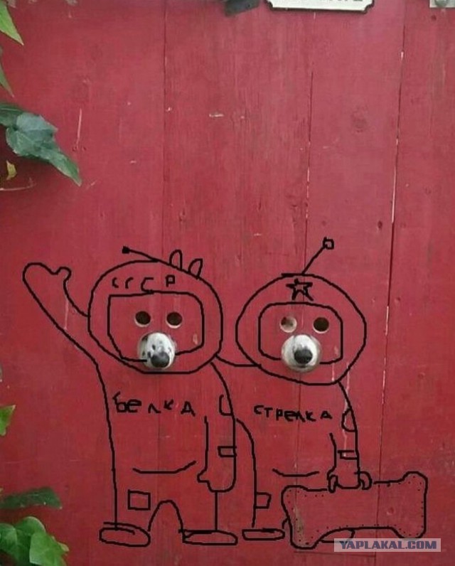Всякое разное из сети