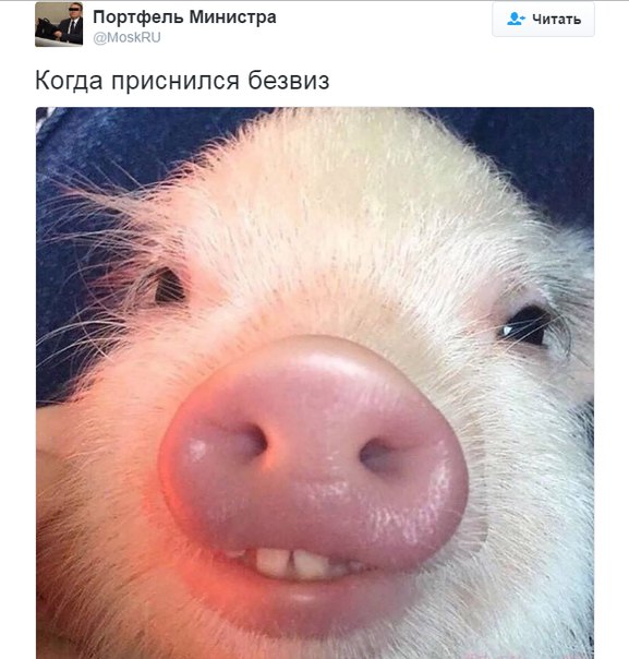Безвизовый режим ЕС с Украиной