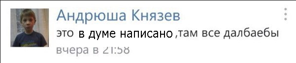 "Отправила депутату Госдумы учебник русского"