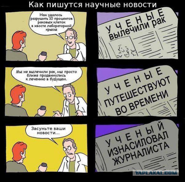 Приключения радужной уточки в Арабских Эмиратах... получилось крайне коротким! И не толерантным