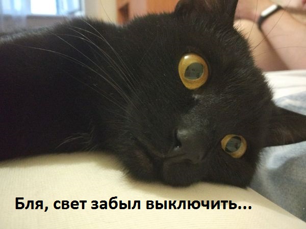 Когда уснул и вспомнил что-то важное