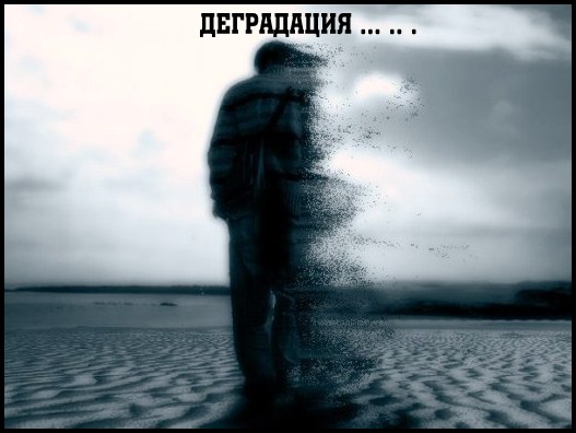 100 картинок для поднятия настроения!