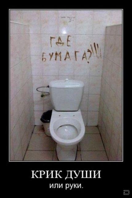 Туалетная бумага наше всё!