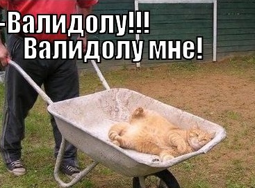 Семь с половиной женщин или что говорят мужчины о своих бывших