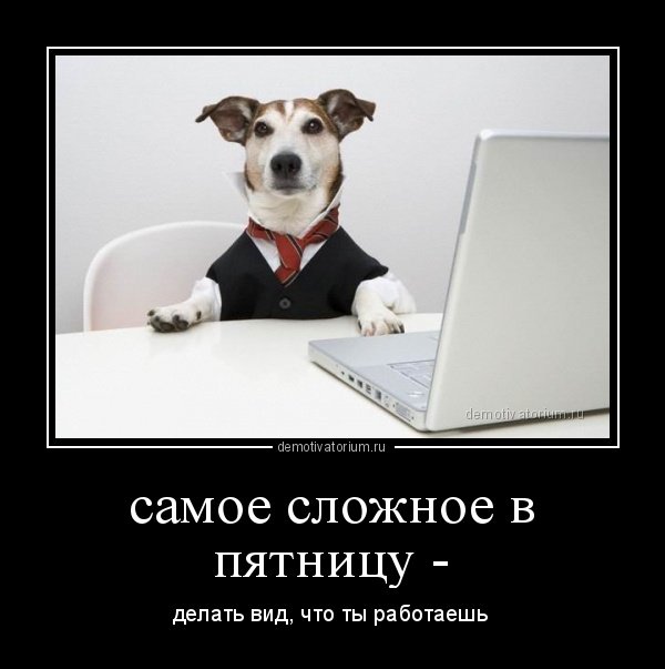 Картинки для настроения в пятницу.