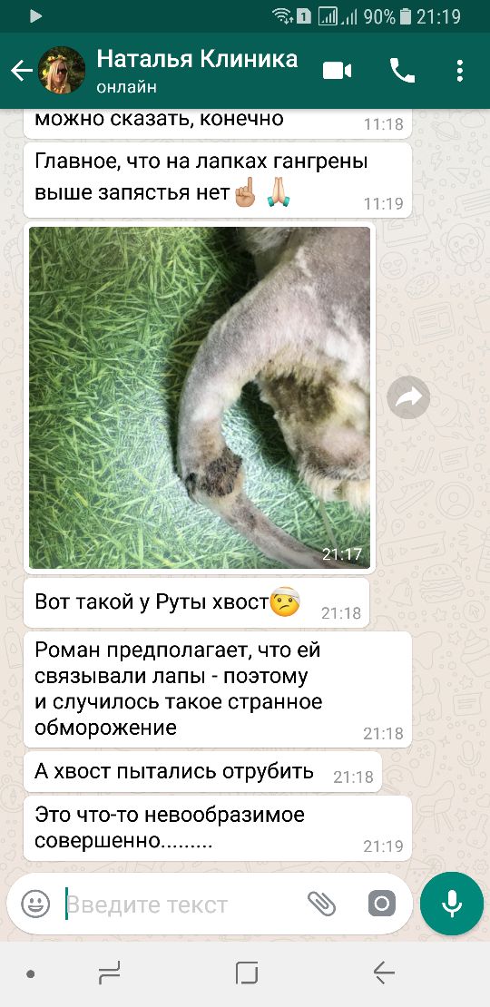 Судьба маламута