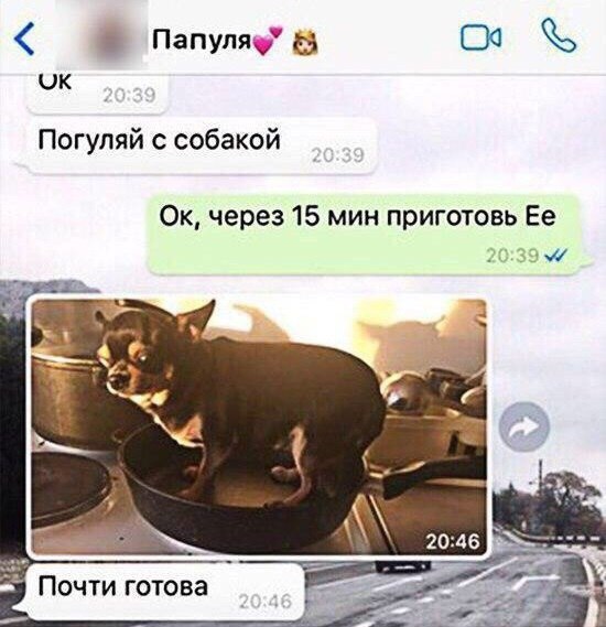 Работа не волк, но картинки сами себя не посмотрят!