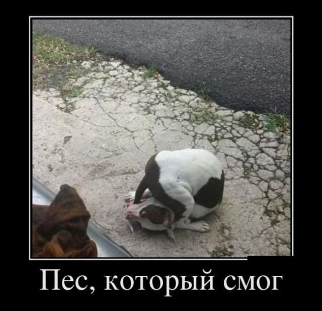 Подборка интересных и веселых картинок