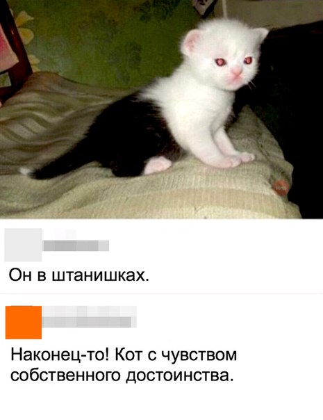 Немного картинок для настроения 29.01.20