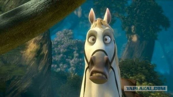 Прячьте ваших женщин! Депутат "бровки и ноготочки" поздравил женщин с 8 марта