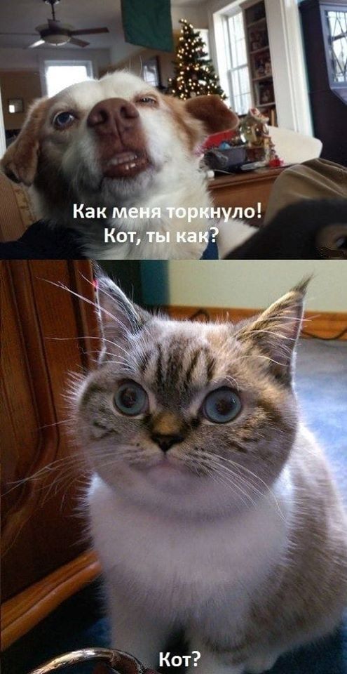 В околоземном космическом пространстве идет настоящая война за Землю