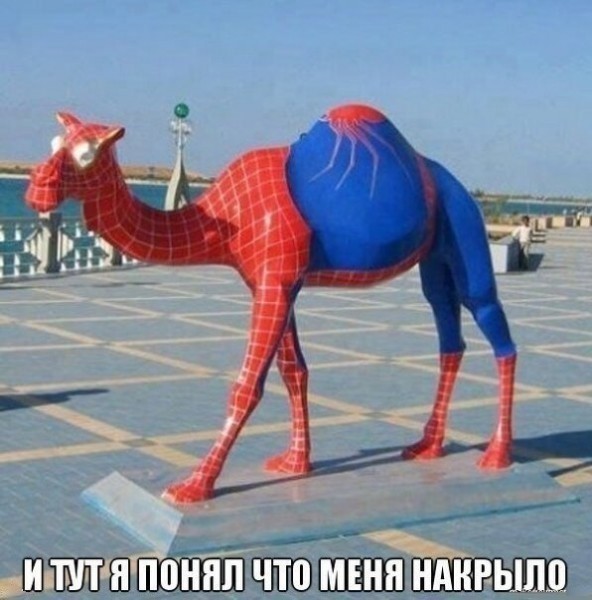 Отменная дурь