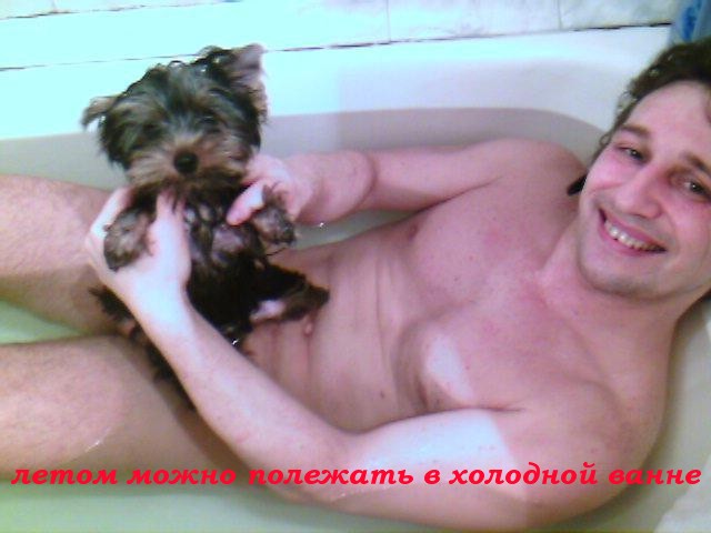 Фотожаба: Скоро лето 2008 !
