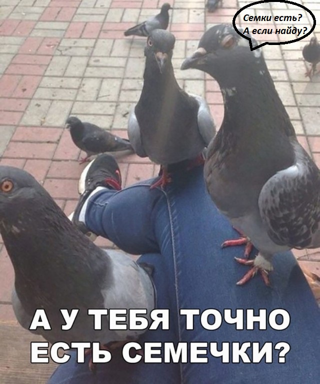 50 так себе картинок 02.06.20