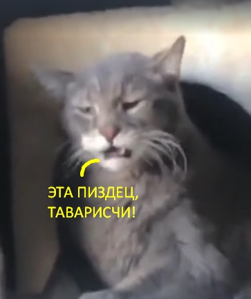 Мыться чаще надо