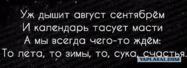 Бредзона 15.08.20