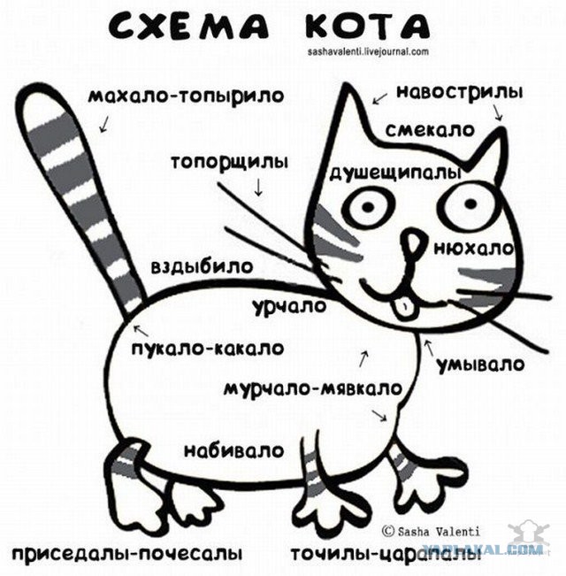 Как правильно гладить киску