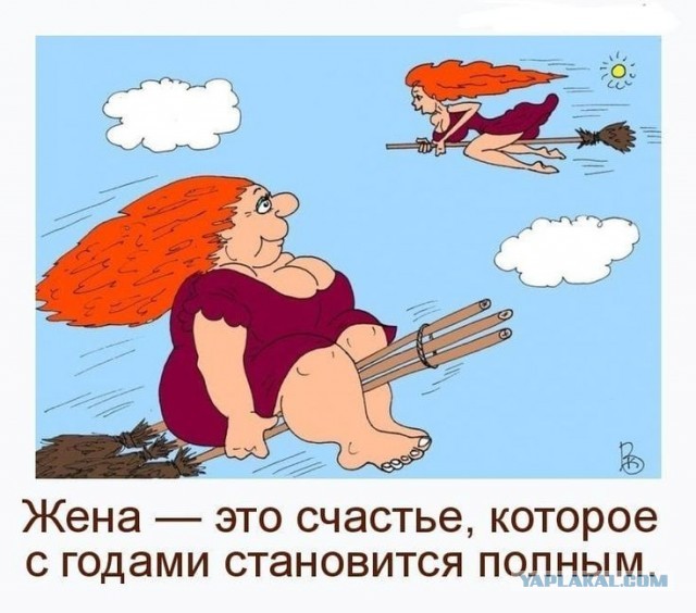 Сколько стоит надоевшая жена