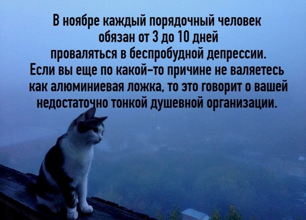Немного картинок для настроения 06.11.20