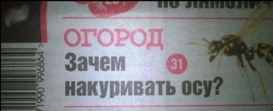 Картинки с надписями и всякие жизненные фразы