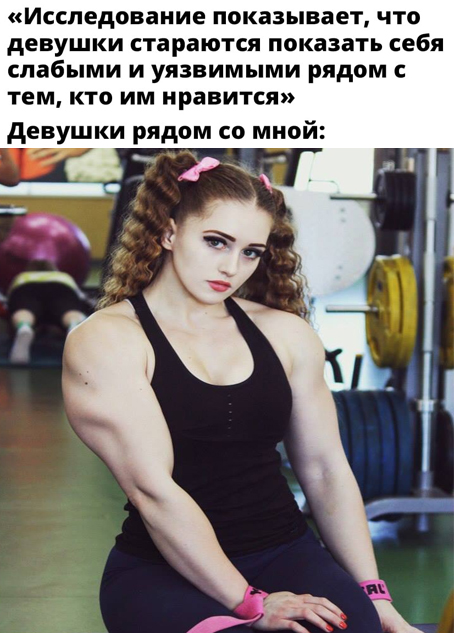 15137596.jpg