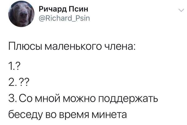 Картинки. Упоротые и не очень 21.01.2021