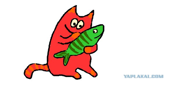 Кот и рыбка