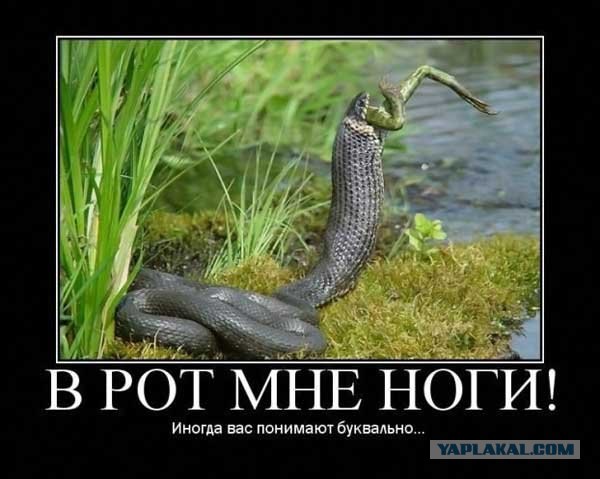 We Love Russia || TNL