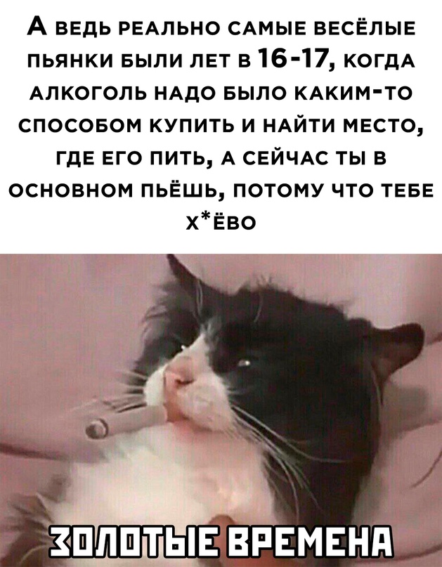 Весёлый полтишок 23.05