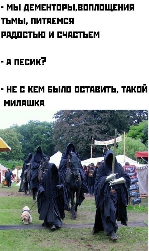 Весёлый полтишок 15.08