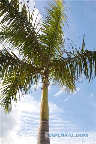 Riviera Maya - Рай на земле