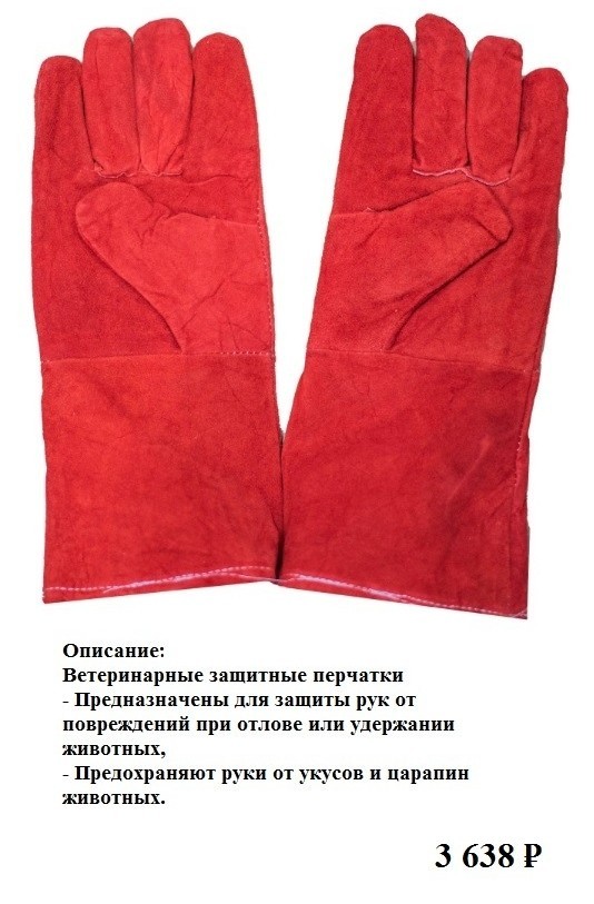 Побежден, но не сломлен..