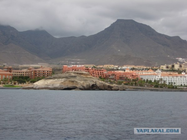 Канары, Тенерифе