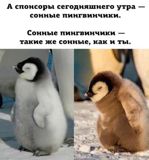 Баянисто-небаянистый юмор 7.04.22