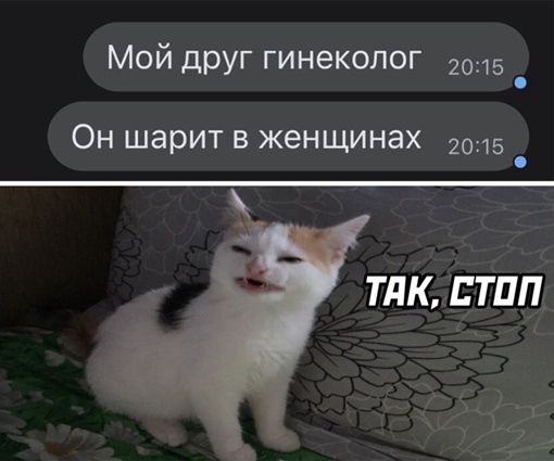 Картинки и мемы, всем отличных выходных