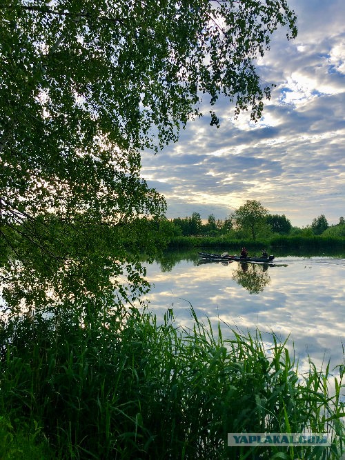 Рассветы. Закаты. Фото