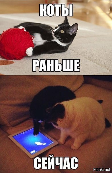 Современные технологии в обучении юного охотника
