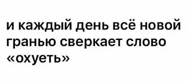 Картинки и мемы для настроения - 19
