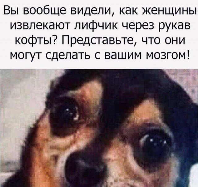 А ты попробуй роди! К вопросу о женских манипуляциях